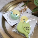 minneのハッピーバック【セキセイインコ大好きセット】