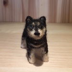 フェルト犬 柴犬　クロさん　<MW254>