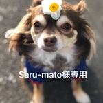 『saru-mato』様🛒専用カート