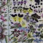 押し花 素材 エリカ他小花セット💐
