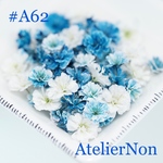 #A62かすみ草_コバルトミックス