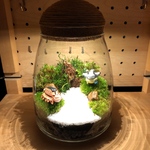 苔テラリウム ハンドメイド LEDライト付き！