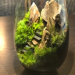 苔テラリウム　LEDライト蓋付き 気孔石の山