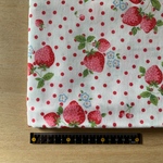 《送料込み》＊ ダブルガーゼ ＊かわいい🍓いちご柄＊50×50
