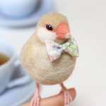 予約商品　シナモン文鳥
