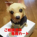 shirioさま＊ご相談済み専用カート