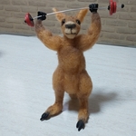 羊毛フェルト マッチョなカンガルーさん