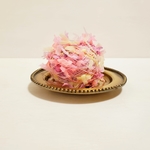 hirahira butterfly yarn   No.230