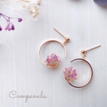 Moon & Lotus