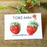 いちごのピアス(陶器)／イヤリング ※チタンポスト