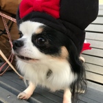 berryjam様専用