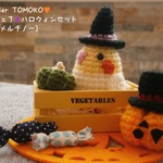 《受注製作》アトリエトモコ☆あみぐるみ　ミニチュア ハロウィンセットA（オカメインコ） インコ　小鳥