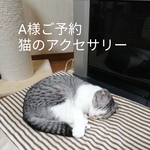 A様ご予約(猫のアクセサリー)