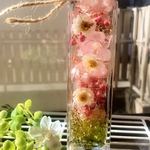 40 〜桜シリーズ〜　ハーバリウム　ハナカンザシとサクラ　植物標本　