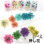 ネイルパーツ　レジン   押し花 レースドライフラワー 小花 ジェルネイル　