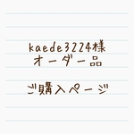 kaede3224様オーダー品＊体操服入れとランチョンマットセット