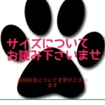 ｻｲｽﾞについて