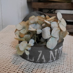 ドライアあじさい付きリメイク缶【PLANTS】