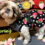 ブラックいちごちゃんワンピース🍓Lくらい