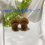 羊毛フェルト　トイプードルストラップ