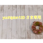 yuchipion 120さま専用