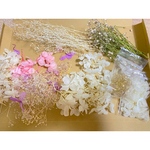 訳あり花材