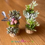 dan段ver.✨ greenコルク🌿