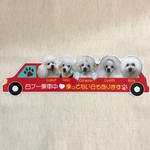 車型写真ステッカー(20センチ)5匹