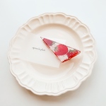 ◯再販start◯triangle clip...水たまり...ichigotsumi(いちご摘み)/apres la pluie