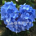 ハーバリウムボールペン～ご入学祝い～ピンク・ビタミンカラー