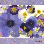 ♡new♡  ♡可愛い押し花セット♡ ♡使いやすい少量の押し花セット♡