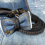 犬用首輪&リードセット