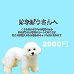 はなぼうさん専用カート