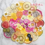 ★在庫整理品・訳あり含む★押しフルーツと押し花セット／ドライフルーツ／ハンドメイド素材
