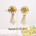 【kanah31様専用】イヤリング ミモザのナチュラルイヤリング