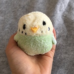 セキセイインコさんのぬいぐるみ