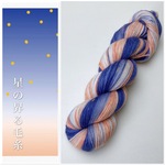 手染め毛糸ソックヤーン＊星の昇る毛糸 22夜