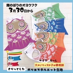 3月30日販売★鯉のぼりのオヨウフク