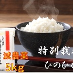 もっちりつやつや特別栽培米5kg　【減農薬米】佐賀県産ヒノヒカリ