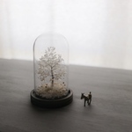 箱庭ガラスドーム　My little tree №2