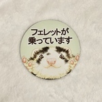 屋外向け🌟マグネットシート🌟フェレット乗ってます🐹
