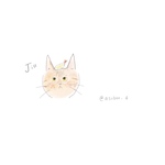 専用ページ
