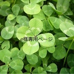 ☆e様専用ページ☆