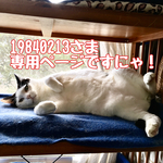 19840213さま専用ページ
