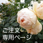 m様専用ページ
