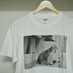 街ねこ あくびTシャツ(Mサイズ)