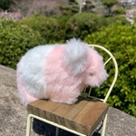 ゆめかわばくたん