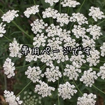 r 様 専用ページです。