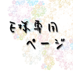 【オーダー】E様専用ページ