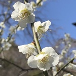 【powerstoneLOVE様専用ページ】
